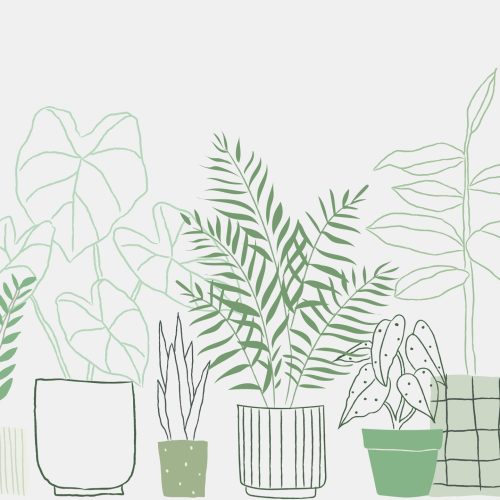 Potted plant doodle vector background